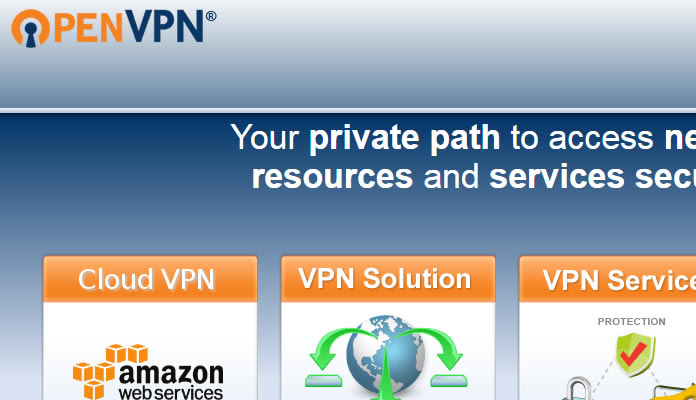 Leading Cryptographer to Audit Open VPN Software