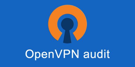 OpenVPN Audit